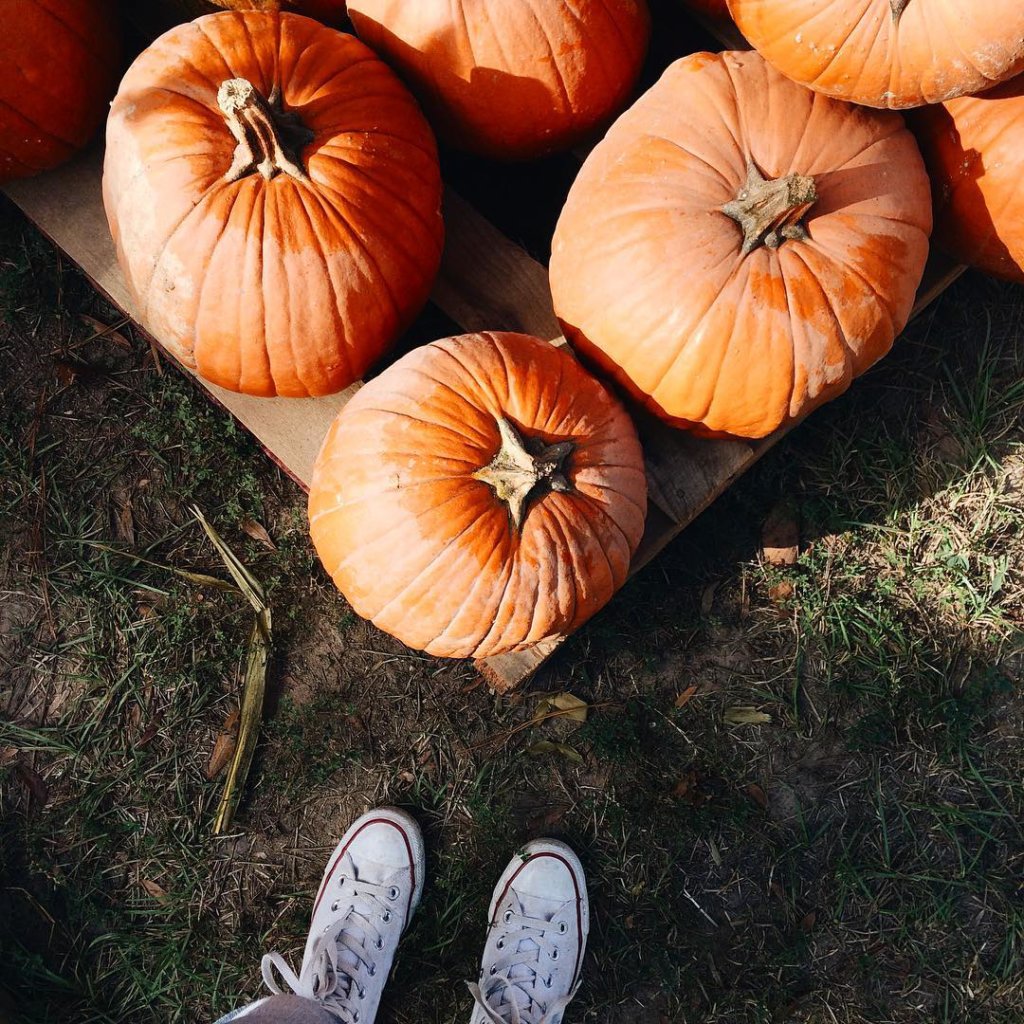 What To Post On Instagram This Fall - The Blonder Life